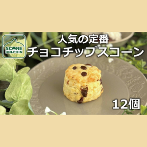 チョコチップスコーン 12個【人気 しっとり 冷凍 冷凍スコーン ミルクチョコレート チョコレート 本場 イギリス 焼き菓子 スイーツ 水戸市 水戸 茨城県 20000円以内 2万円以内】（AR-17） 4,000円
