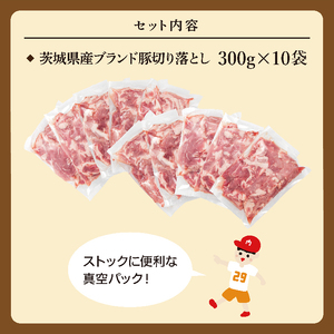 【数量限定】【3月発送】茨城県産ブランド豚切り落とし3kg (300g×10p)（EC-20-3）