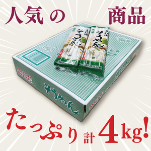【2026年1月寄附額改定】手打風そうめん１箱　4kg（200ｇ×20袋）（乾麺）（BY-9）