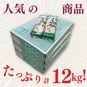 【2026年1月寄附額改定】手打風そうめん３箱　計12kg（200ｇ×60袋）（乾麺）（BY-10）