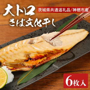 大トロさば文化干し １枚真空6パック【茨城県共通返礼品　神栖市】【サバ 鯖 一夜干し 干物 ソフト 人気 おかず おつまみ】（LZ-1）