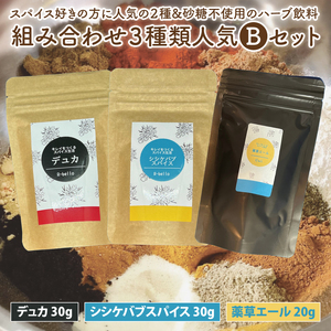 スパイス好きの方に人気の２種と砂糖不使用のハーブ飲料の組み合わせ３種類おススメBセット【調味料 スパイス デトックス ソルト ハーブソルト 抗酸化 薬草エール ハーブ飲料】（MK-2）