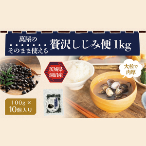 涸沼産 冷凍しじみ 中粒１kg（100g×10p）（シジミ 中粒しじみ 直接仕入れ 砂抜き済み 砂抜き 小分け包装 味噌汁 みそ汁 茨城県】（CA-2）