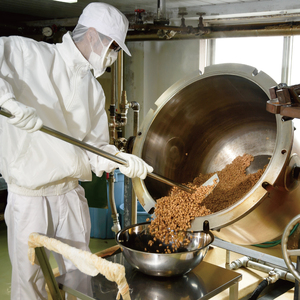 【6ヶ月定期便】【水戸納豆】水戸納豆のイチオシ 水戸の宴「山」14個セット×６（DL-31）