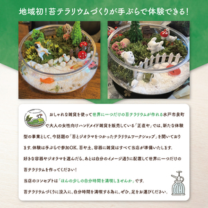 苔（コケ）とジオラマ、フィギュアを使ったテラリウム作り体験！【苔テラリウム ハンドメイド ワークショップ オリジナル 水戸市 茨城県】（MW-1）