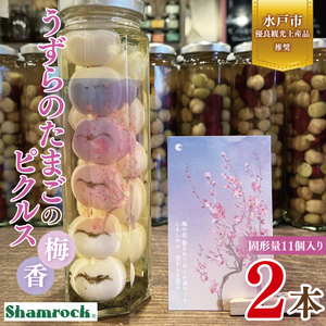 【水戸市有料観光土産品】Shamrock うずらのたまごのピクルス 梅香 ２本【赤しそ しそ ピクルス 漬物 梅 ソース 水戸市 茨城県】（FE-9）