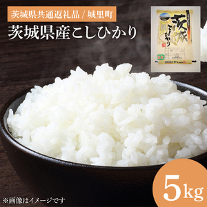 【数量限定】【令和7年産】茨城県産こしひかり 5kg（茨城県共通返礼品/城里町）（IH-6249）