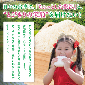 【数量限定】【令和7年産】【６ヵ月定期便】美味追求 茨城県産こしひかり 5kg×6 【定期便 お米 ごはん こしひかり 精米 おにぎり ごはん 茨城県 水戸市 30キロ】(NA-3)