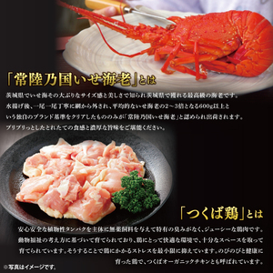 2026年【先行予約】ホテルテラスザガーデン水戸 千壽 和二段重（３～4人前）30cm×20cm【おせち おせち料理 お正月 正月 冷蔵配送 常陸乃国いせえび 伊勢海老 伊勢えび 常陸牛 ローズポーク つくば鶏 水戸市 茨城県】（JY-2）