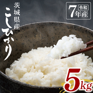 【数量限定】令和7年茨城県産コシヒカリ5kg【お米 ごはん こしひかり おにぎり ごはん 茨城県 水戸市】(NU-1)