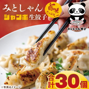 旨味たっぷり！本場プロの中華料理人が作る みとしゃんジャンボ餃子 30個【香香 シャンシャン 中華 人気 老舗 焼き餃子 冷凍 ぎょうざ ギョーザ シューマイ簡単調理 惣菜 おかず 水戸市 茨城県】（CS-5）