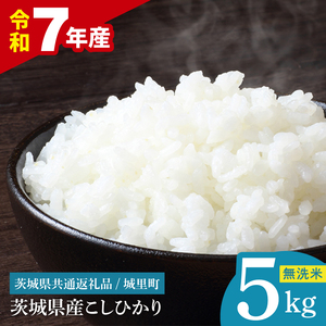 【数量限定】【令和7年産】茨城県産 コシヒカリ無洗米 5kg（茨城県共通返礼品/城里町）（IH-111）