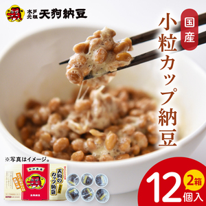 【天狗納豆】国産小粒カップ納豆（50ｇ×6個）×2箱【納豆 なっとう 小粒 老舗 朝食 ご飯 ご家庭用 ストック ソウルフード 水戸市 水戸 茨城県】（DQ-16）