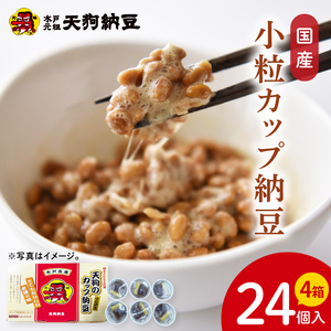 【天狗納豆】国産小粒カップ納豆（50ｇ×6個）×4箱【納豆 なっとう 小粒 老舗 朝食 ご飯 ご家庭用 ストック ソウルフード 水戸市 水戸 茨城県】（DQ-17）