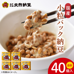 【天狗納豆】国産小粒パック納豆（50ｇ×5個）×8袋【納豆 なっとう 小粒 老舗 朝食 ご飯 ご家庭用 ギフト 贈答用 ソウルフード 水戸市 水戸 茨城県】（DQ-22）