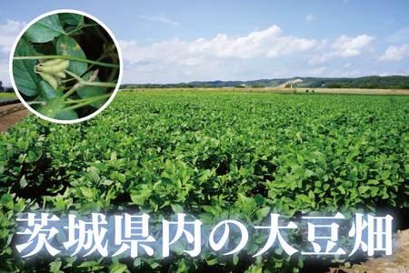 水戸だるま納豆　茨城県産大豆こだわりセット【なっとう 水戸 県産 7種 色んな味 詰め合わせ セット 大容量 朝食 10000円以下 茨城県】(AS-1)