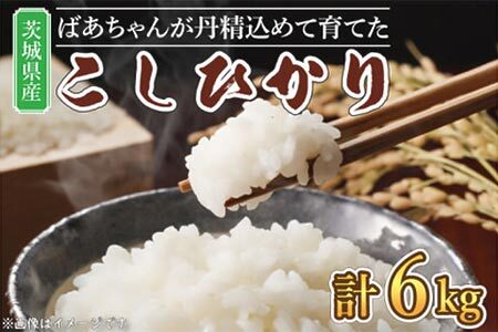 【令和5年産】ほっぺが落ちそう！ばあちゃんが丹精込めて育てた茨城県産こしひかり 【お米 コシヒカリ 3kg×2 ごはん 農家 直送 おいしい 白米 10000円以内 水戸市 】（BJ-2）