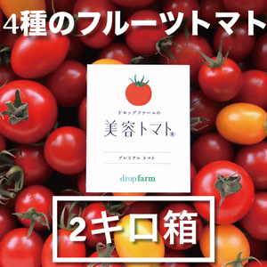 【11月～6月発送】ドロップファームの美容トマト おまかせ2kg箱(４種ミックス)【とまと フルーツトマト 野菜ソムリエ 栄養士 アイコ イエローアイコ 小鈴 フルティカ 野菜 フレッシュ 水戸市 茨城県】（CK-102）