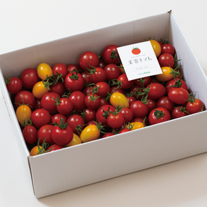 【11月～6月発送】ドロップファームの美容トマト おまかせ2kg箱(４種ミックス)【とまと フルーツトマト 野菜ソムリエ 栄養士 アイコ イエローアイコ 小鈴 フルティカ 野菜 フレッシュ 水戸市 茨城県】（CK-102）