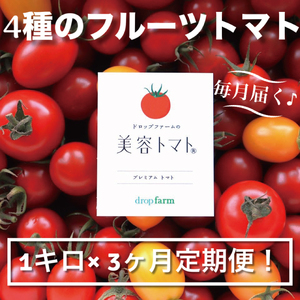 【3ヶ月定期便】【11月~6月発送】ドロップファームの美容トマトおまかせ1kg箱(4種ミックス)【とまと フルーツトマト 野菜ソムリエ 栄養士 アイコ イエローアイコ 小鈴 フルティカ 野菜 フレッシュ 水戸市 茨城県】(CK-103)