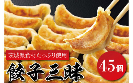 餃子三昧【餃子の常陸 中華料理人 国産 塩分控えめ 手づくり 焼き餃子 冷凍 ぎょうざ ギョーザ 簡単調理 惣菜 おかず 水戸市 茨城県】（EQ-1）