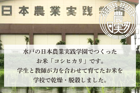 【令和6年産】学生と作ったコシヒカリ10kg【お米 米 コメ ごはん 20000円以内 2万円以内 茨城県 水戸市 水戸 】（DN-21）