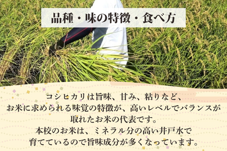 【令和6年産】学生と作ったコシヒカリ10kg【お米 米 コメ ごはん 20000円以内 2万円以内 茨城県 水戸市 水戸 】（DN-21）