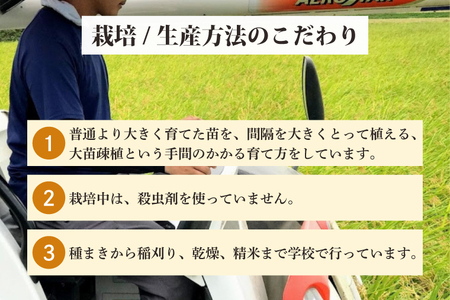 【令和6年産】学生と作ったコシヒカリ10kg【お米 米 コメ ごはん 20000円以内 2万円以内 茨城県 水戸市 水戸 】（DN-21）