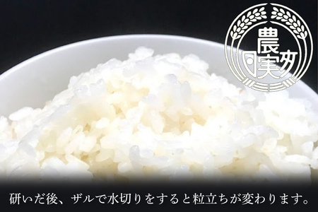 【令和6年産】学生と作ったコシヒカリ10kg【お米 米 コメ ごはん 20000円以内 2万円以内 茨城県 水戸市 水戸 】（DN-21）