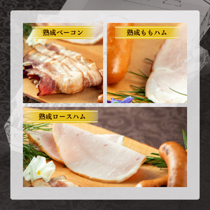 IFFA金賞イイジマ工房セット600g お歳暮 ハム ソーセージ おつまみ 茨城県 水戸市（DU-91-1）