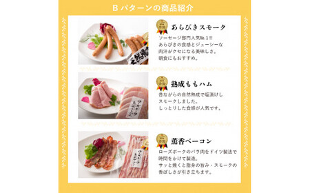 ハム ソーセージ 詰め合わせ IFFA金賞イイジマ工房お試しBセット 9000円 ウインナー ベーコン ローズポーク シャルキュトリー お歳暮 ギフト対応【肉のイイジマ】 茨城県 水戸市（DU-93）