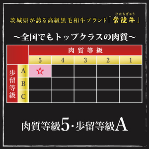 【常陸牛 A5ランク】カルビ焼肉用360g 冷凍 国産牛 和牛 牛肉 茨城県 水戸市  国産 BBQ 15000円以内 老舗精肉店 EK-5