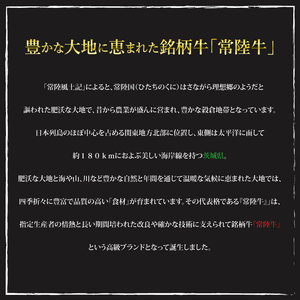 【常陸牛 A5ランク】カルビ焼肉用360g 冷凍 国産牛 和牛 牛肉 茨城県 水戸市  国産 BBQ 15000円以内 老舗精肉店 EK-5
