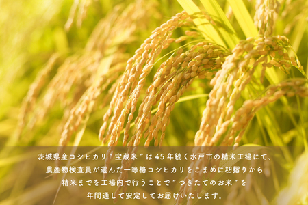 【令和6年産】茨城県産コシヒカリ 宝蔵米 10kg（5kg×2）【お米 米 菊池 こしひかり つきたてのお米 食味ランキング特A評価 茨城県 水戸市】（CZ-402）