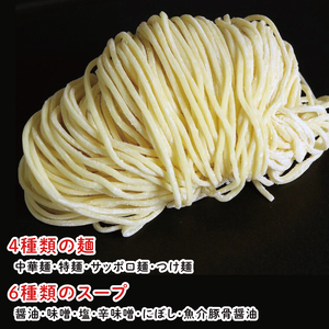 ラーメンつけ麺食べ比べ(20食)麺4種スープ6種【工場直送 松月製麺所 最高級 中華麺 手作り 水戸市 茨城県】(EM-1)