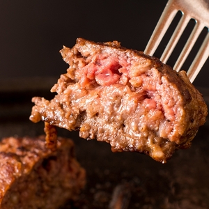 常陸牛100% ハンバーグ 無添加 5個 セット リピーター続出！ ギフト 食べ物 肉 10000円 手捏ね 焼くだけでレストランの味 冷凍 小分け お歳暮 ※離島への配送不可（北海道、沖縄本島は配送可能）（DU-6）