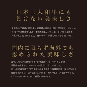 カタログギフト 肉 常陸牛 イイジマ特選目録ギフト スタンダード 有効期限なし 切手不要 肉カタログ 食べ物  贈答用 景品  ギフト対応 お取り寄せ グルメ 肉のイイジマ （DU-17）