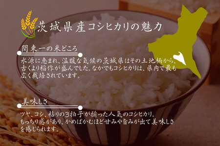 令和6年産 茨城県水戸市常澄産コシヒカリ みと米【こしひかり お米 米 小分け 少量パック 3合 三合  真空 真空パック 5000円以内 3000円以内 水戸市 茨城県】（EX-2）