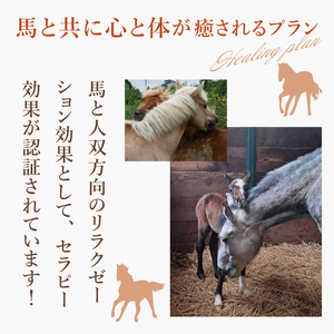 ホースセラピー・癒しコース（120分）【乗馬 馬 ポニー サラブレッド