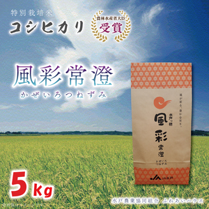 【令和7年産】特別栽培米コシヒカリ「風彩常澄」5kg 【最高 ランク 特A コシヒカリ 水戸市 オリジナル ブランド 農林水産省大臣賞受賞 減農薬 減化学肥料 栽培 ふっくら 美味しい お米 ご飯】（FC-101）
