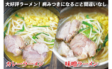 【日時指定必須】「スタミナラーメン日向」の大人気ラーメンセット（スタミナ１、味噌１、カレー１）【ラーメン 麺 スタミナ 冷やし ラーメン ご当地ラーメン ご当地グルメ 茨城県 水戸市】（FF-9）