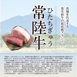 B-26 ホテル料理長監修 茨城県が誇る黒毛和牛「常陸牛」100%ハンバーグ 100g×3個<2025年2月頃~順次発送>【黒毛和牛】【冷凍ハンバーグ 茨城県 日立市】