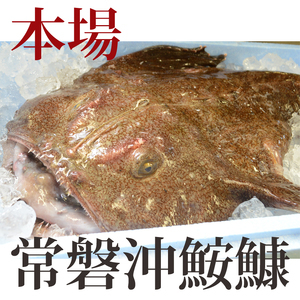 【2026年3月発送】常磐沖のあんこう鍋セット(3~4人前)〈出荷時期:2026年3月1日出荷開始~2026年3月29日出荷終了〉