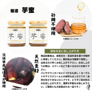 茨城県産さつまいも使用　芋之助のけんぴ＆チップス・芋蜜付セット（けんぴ60g×4袋、チップス60g×4袋）【 さつまいも 茨城県 日立市 】