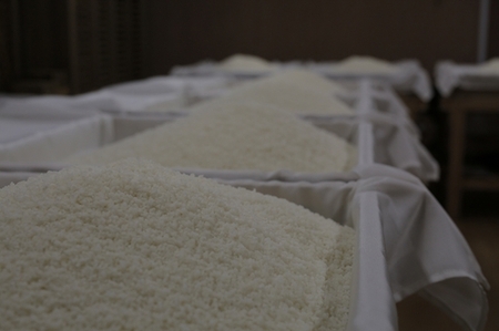 A-12 富士大観 青ラベル純米吟醸