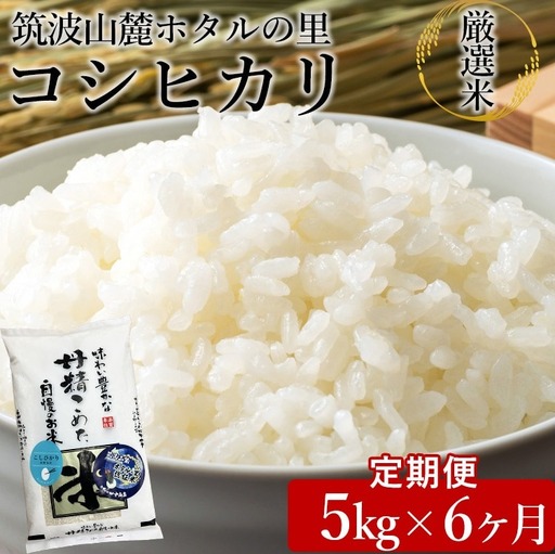 【定期便 6ヶ月】令和7年産 筑波山麓ホタルの里厳選米コシヒカリ5kg　透き通った大粒米 ※離島への配送不可 ※2025年10月下旬頃より発送開始
