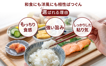 【先行予約】【定期便 5ヶ月】令和6年産 筑波山麓ホタルの里厳選米コシヒカリ3kg　透き通った大粒米 ※離島への配送不可 ※2024年9月下旬～2025年8月上旬頃より順次発送予定