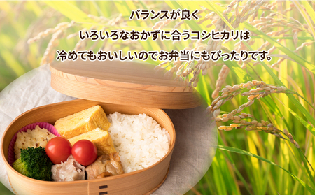 【先行予約】【定期便 3ヶ月】令和6年産　土浦市産 コシヒカリ　精米5kg　ホタルが舞う里のお米 ※離島への配送不可 ※2024年9月下旬～2025年8月上旬頃に順次発送予定