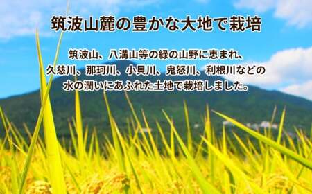 令和7年産 茨城県産 コシヒカリ 精米 合計20kg（5kg×4袋） ※離島への配送不可 ※2025年9月下旬～2026年7月下旬頃に順次発送予定