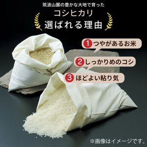 令和7年産 茨城県産 無洗米コシヒカリ 精米 合計20kg（5kg×4袋） ※離島への配送不可 ※2025年9月下旬～2026年7月下旬頃に順次発送予定